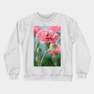 Dianthus  Pink Crewneck Sweatshirt